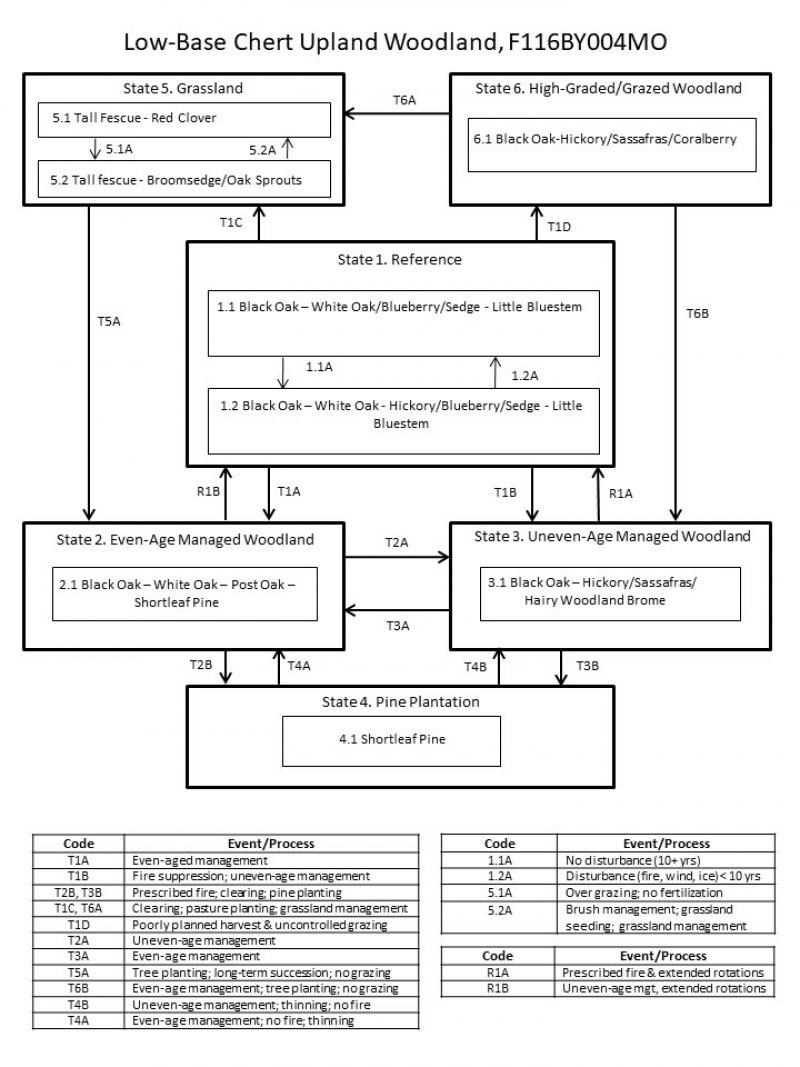 Model diagram