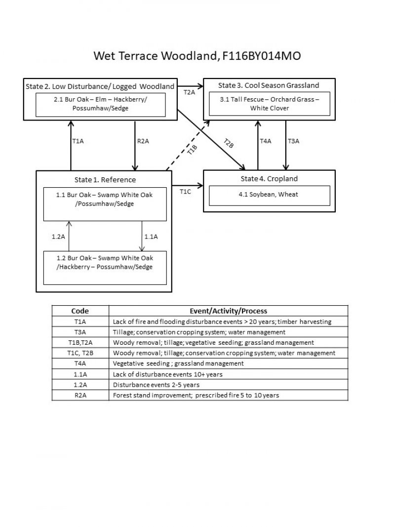Model diagram