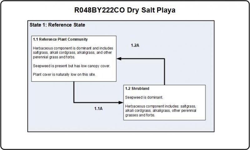 Model diagram