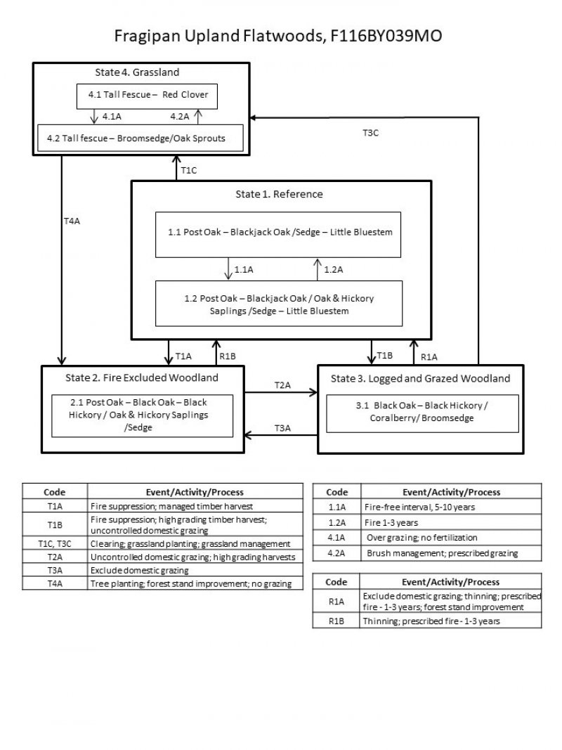 Model diagram