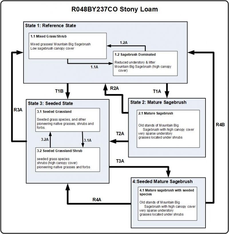 Model diagram