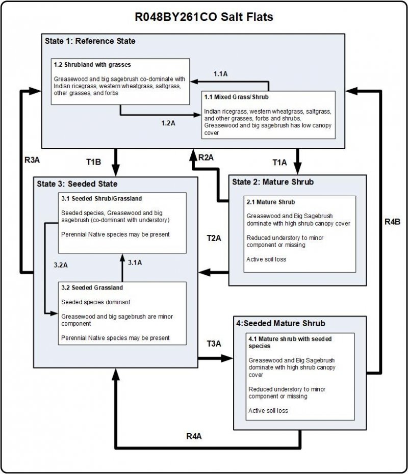 Model diagram