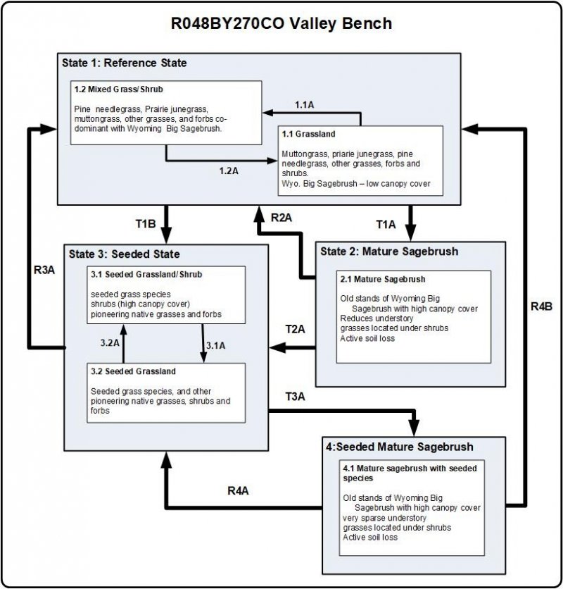 Model diagram