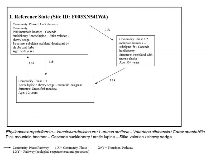 Model diagram
