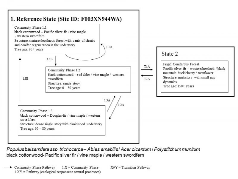 Model diagram