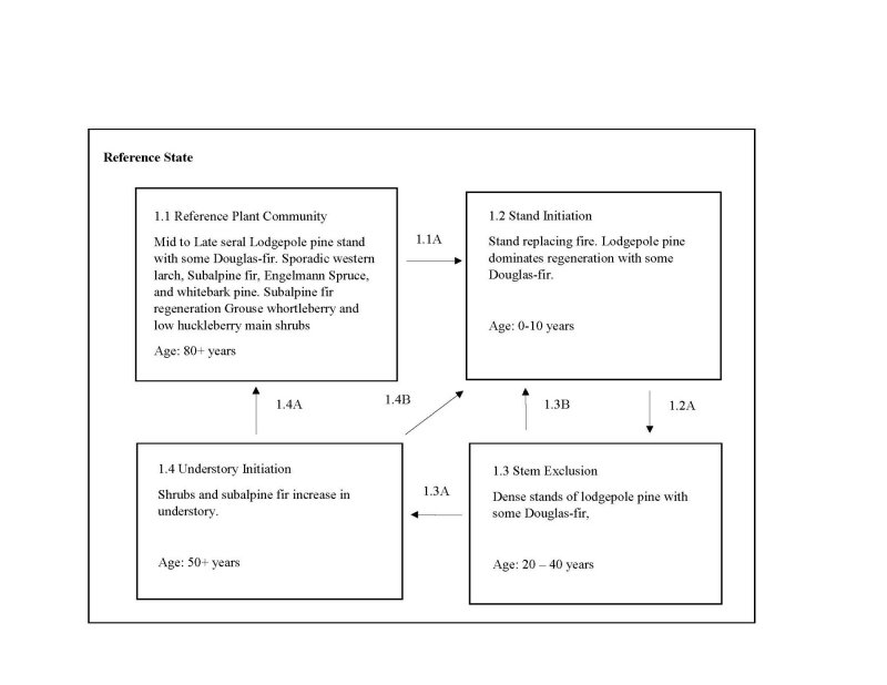 Model diagram