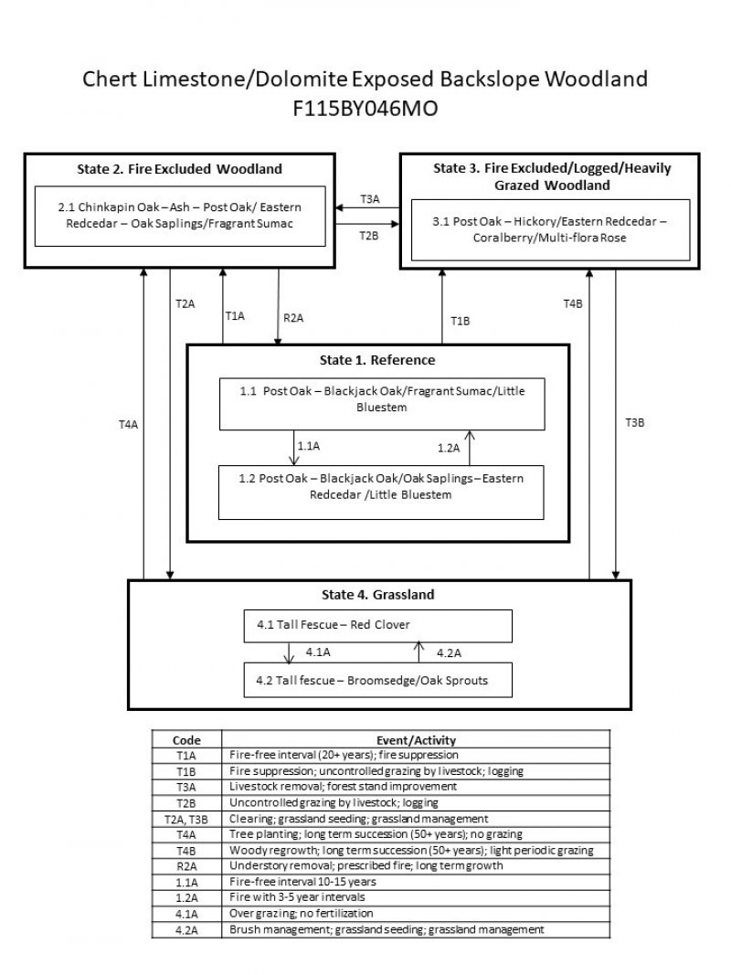 Model diagram