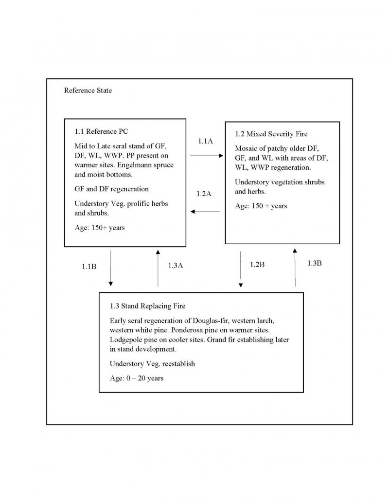 Model diagram