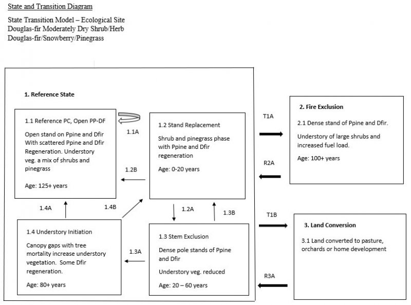 Model diagram