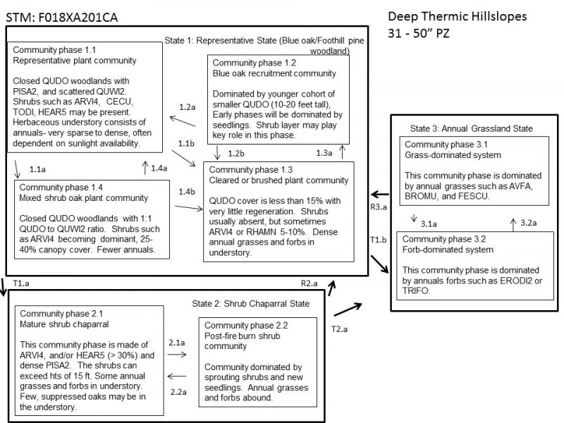 Model diagram