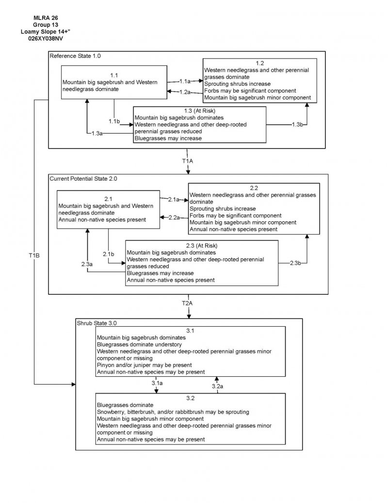 Model diagram
