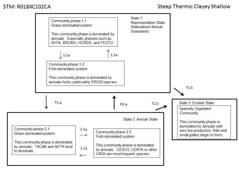 Model diagram