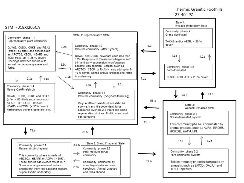 Model diagram
