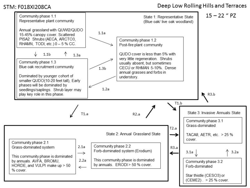 Model diagram