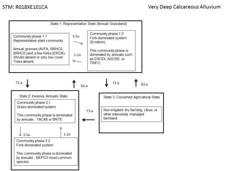 Model diagram