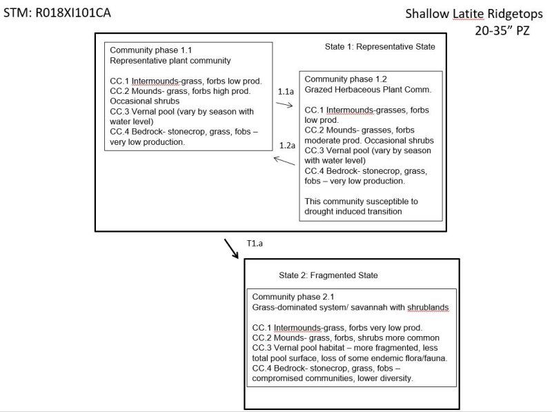 Model diagram