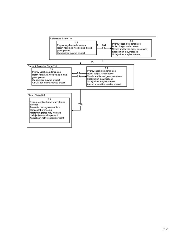 Model diagram