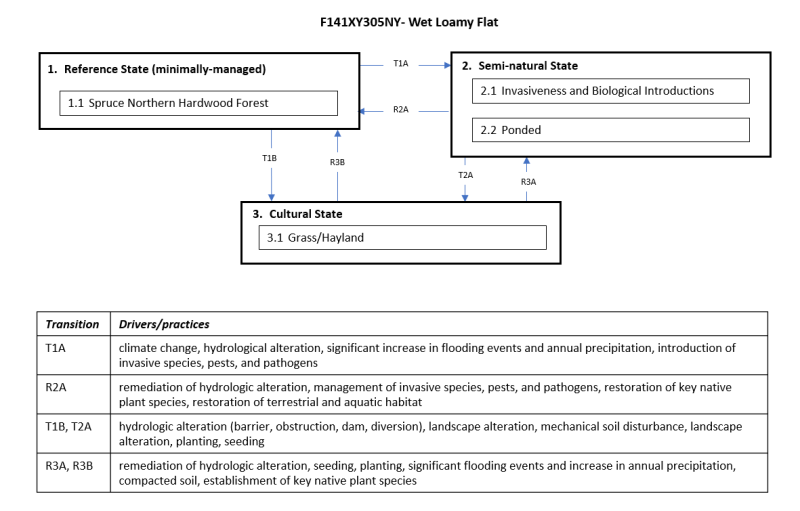 Model diagram