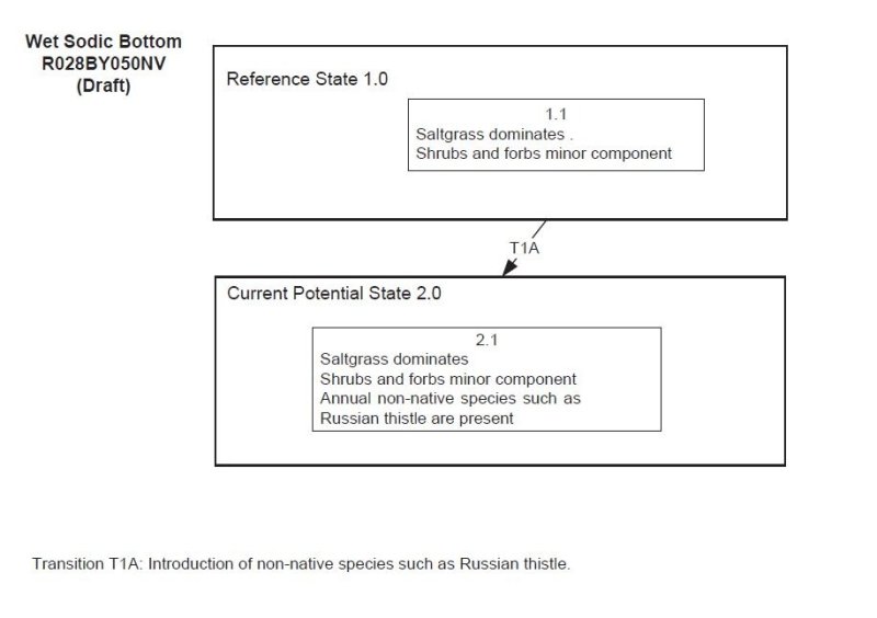 Model diagram