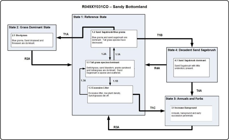Model diagram