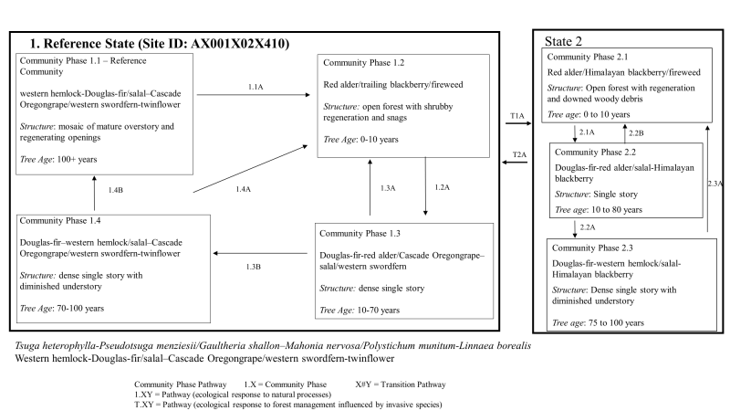 Model diagram