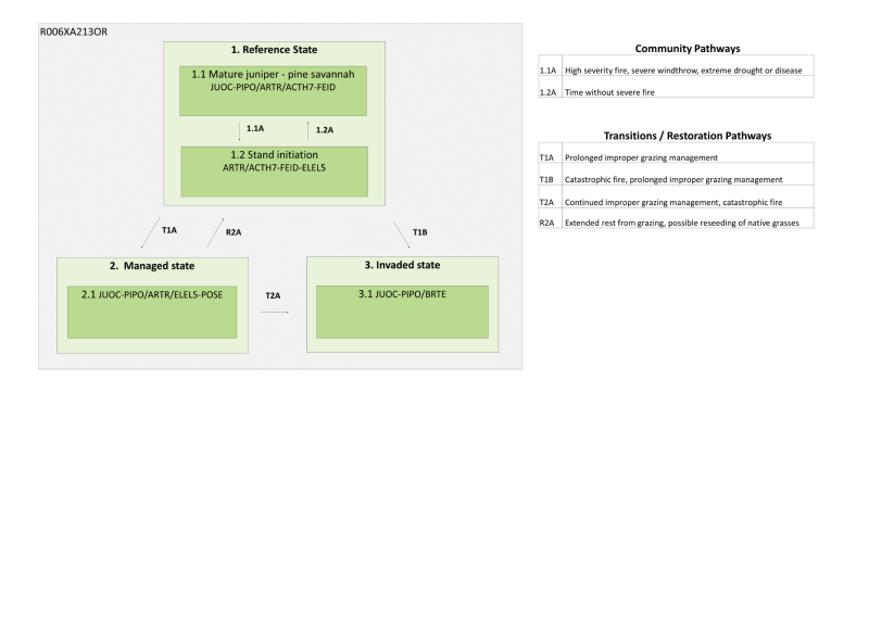 Model diagram