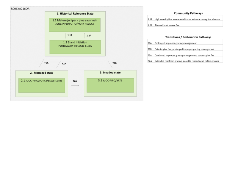 Model diagram