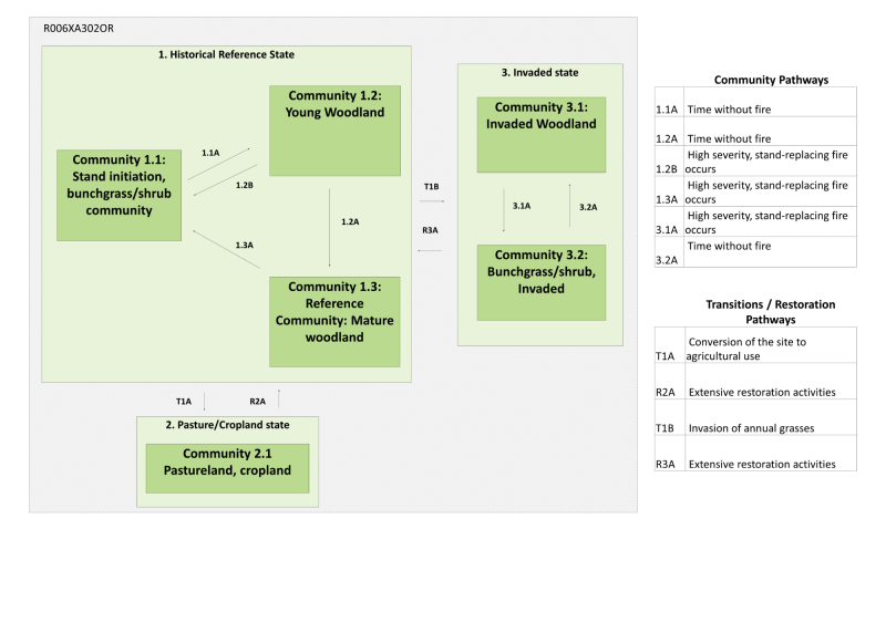 Model diagram