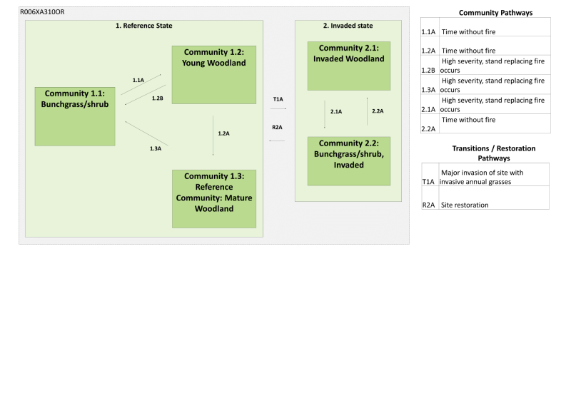 Model diagram
