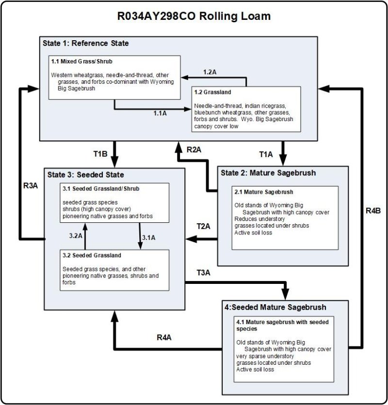 Model diagram