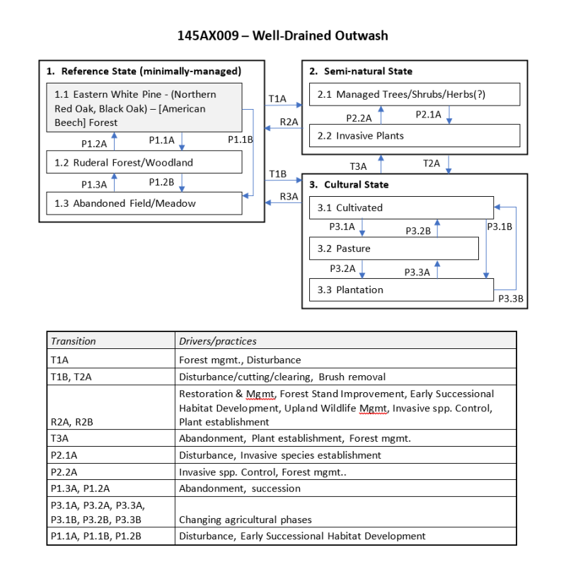 Model diagram