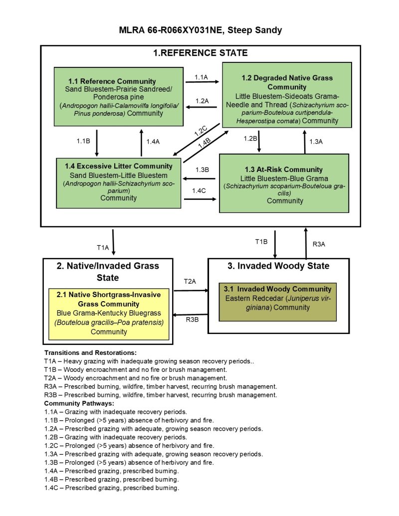 Model diagram
