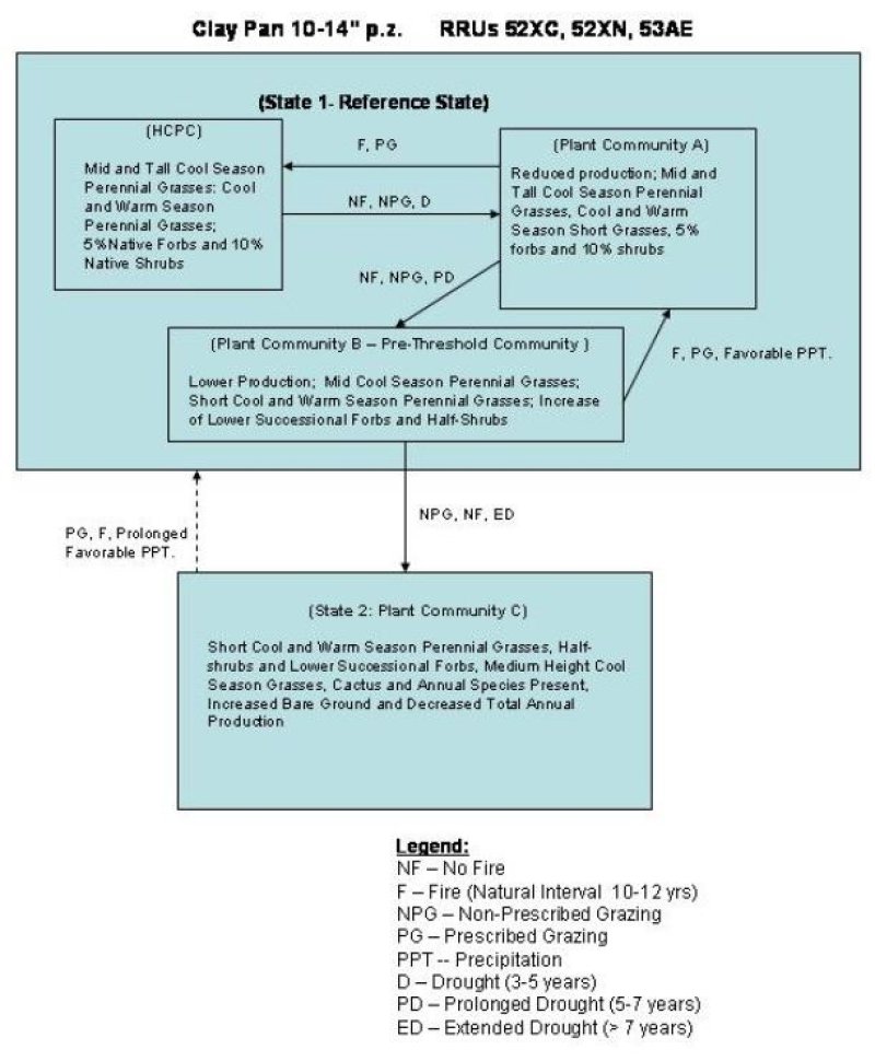 Model diagram