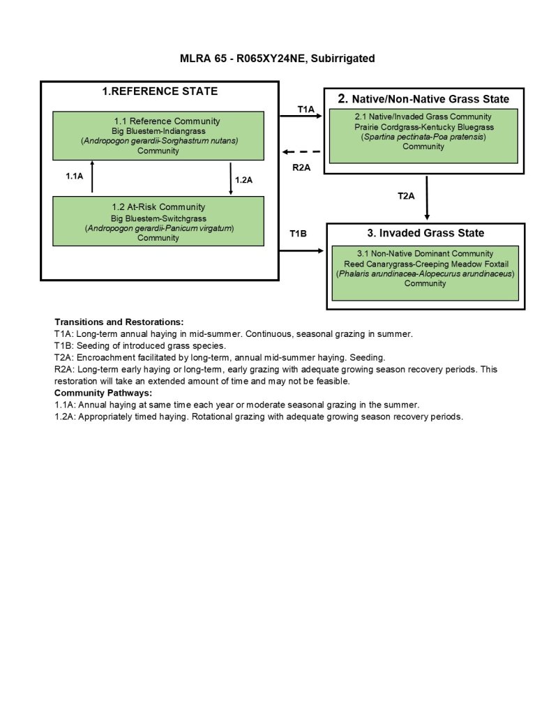 Model diagram