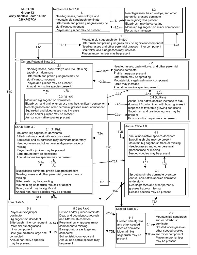 Model diagram