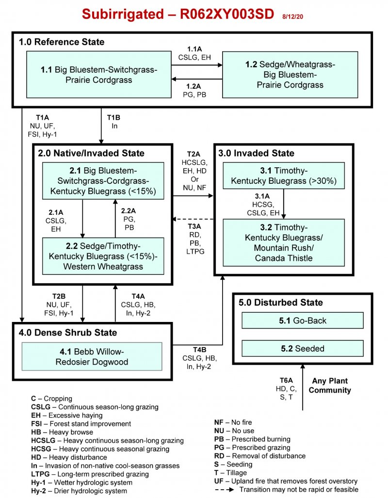Model diagram