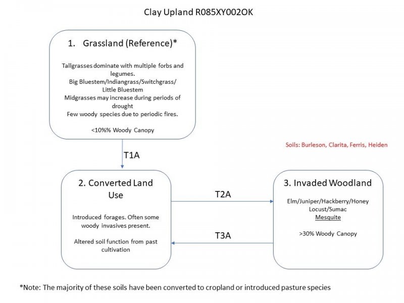 Model diagram