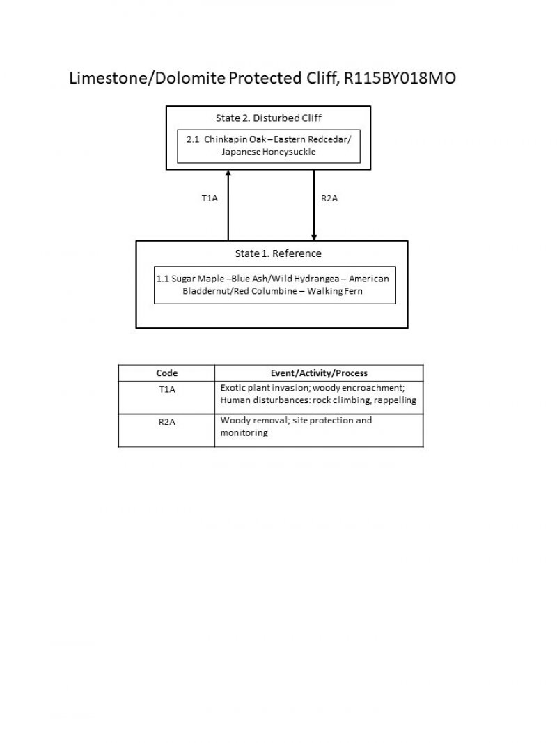 Model diagram
