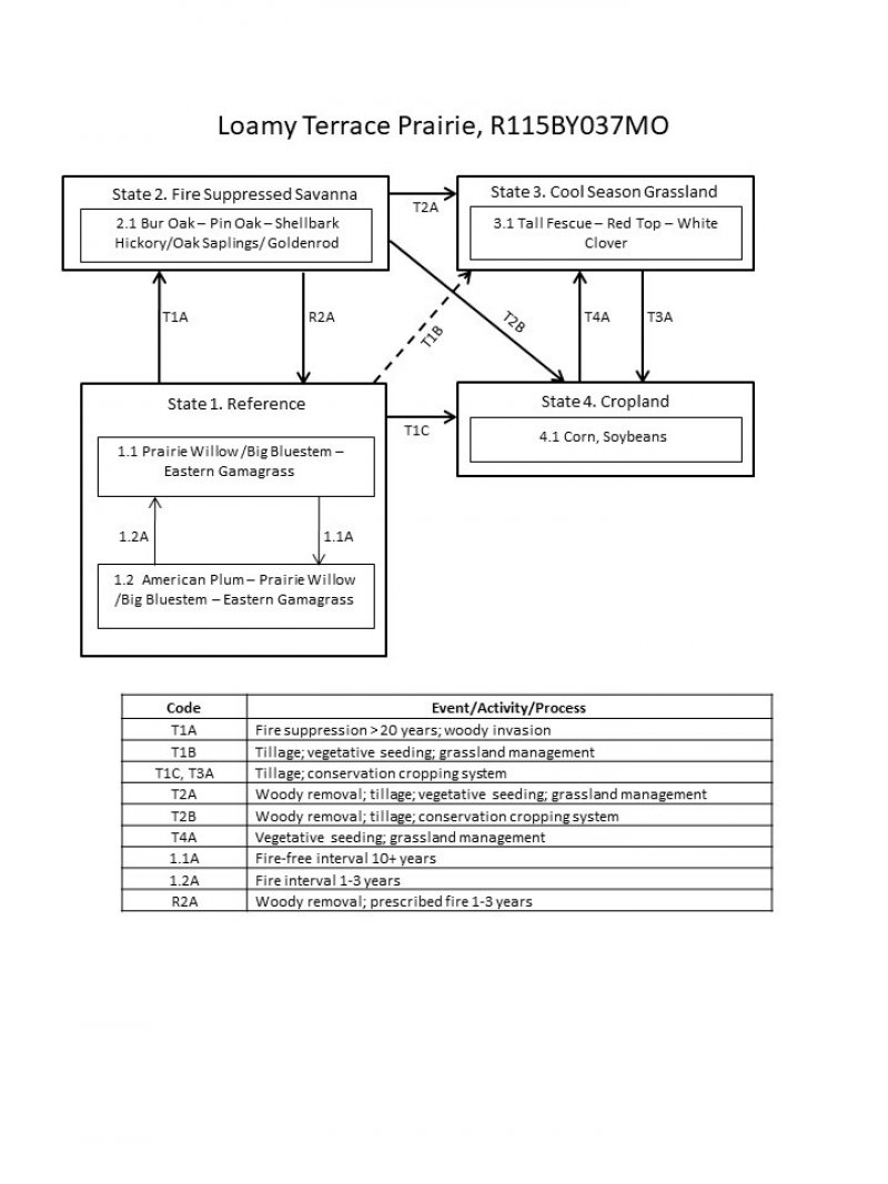 Model diagram