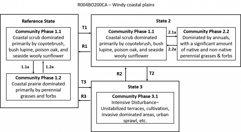 R004BO200CA_STMDiagram_8-17-18