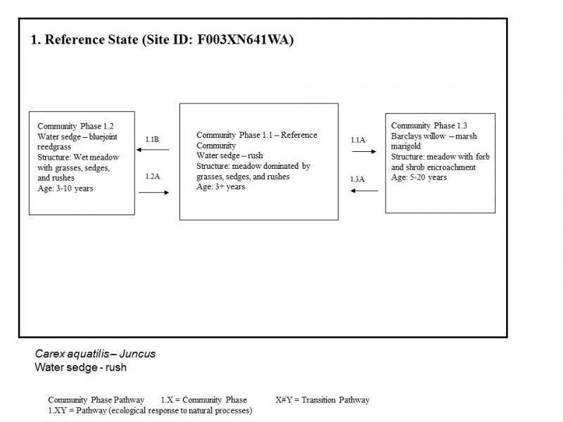 Model diagram
