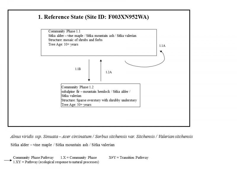 Model diagram