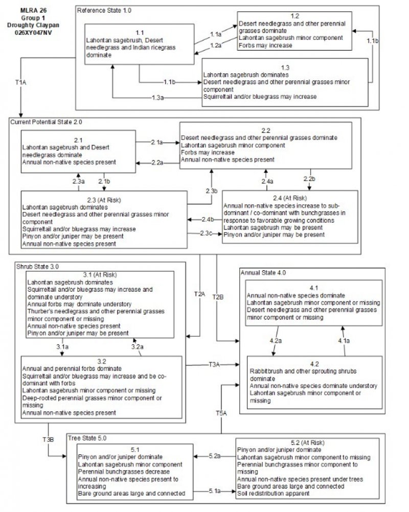 Model diagram