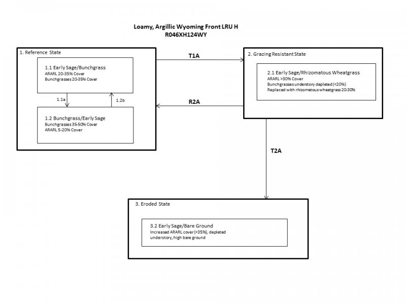 Model diagram