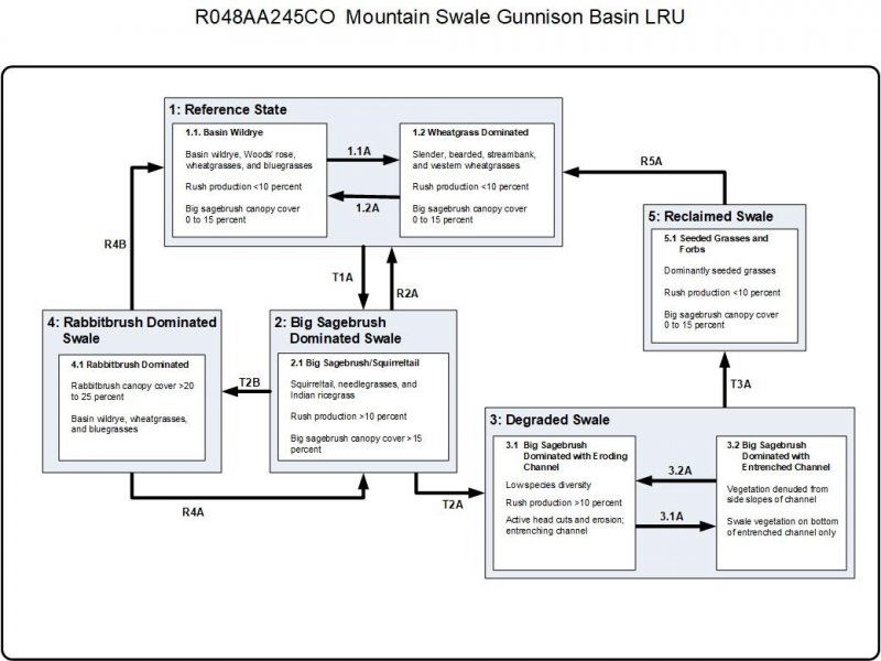 Model diagram