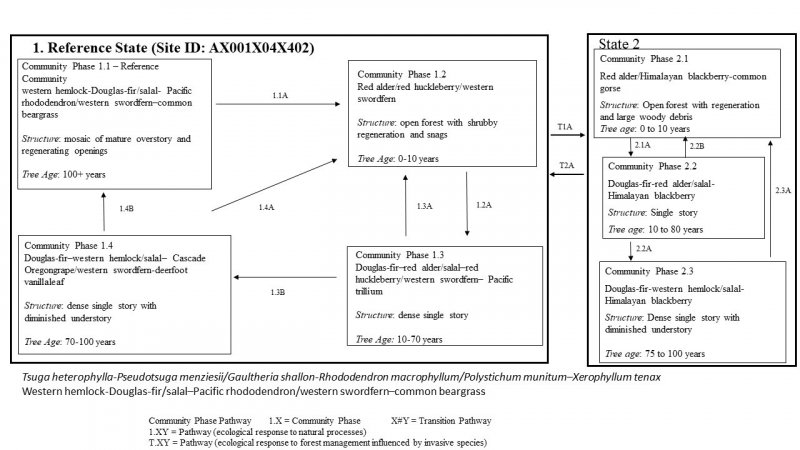 Model diagram