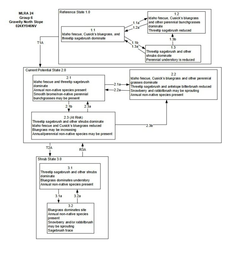 Model diagram