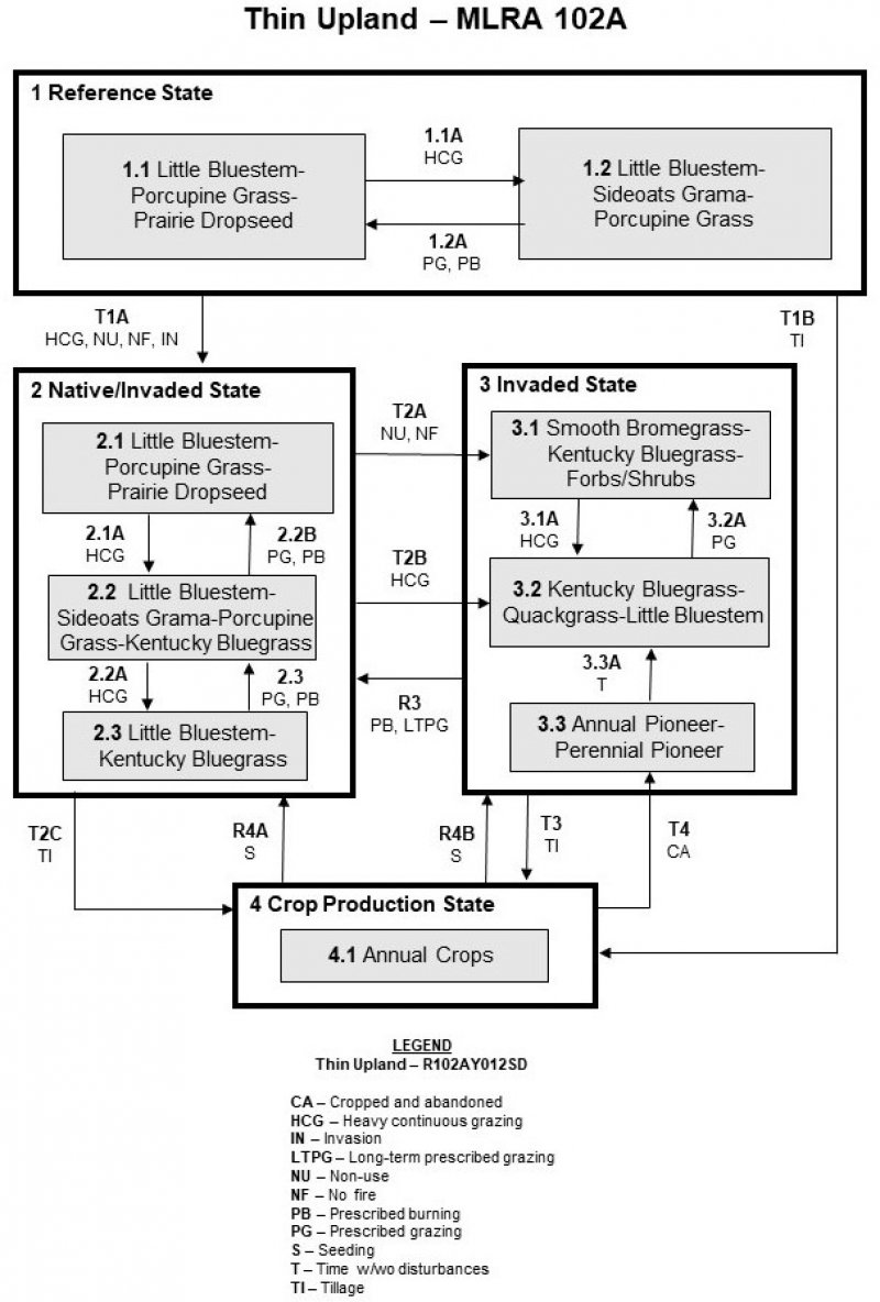 Model diagram