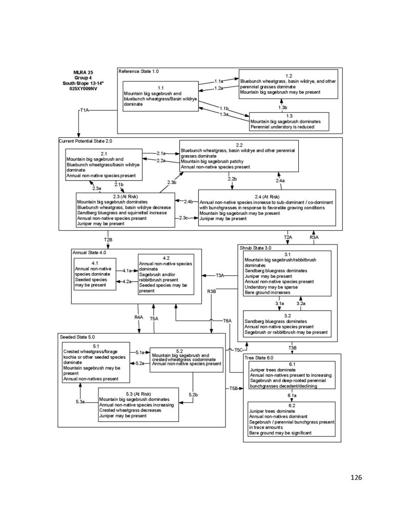 Model diagram