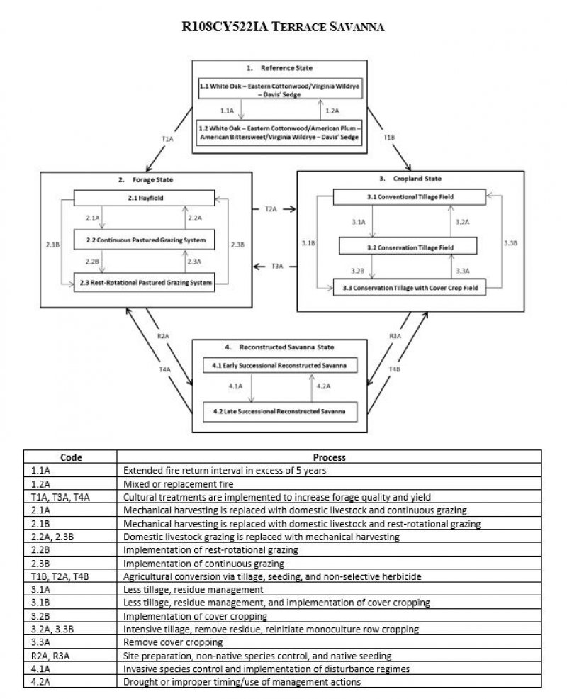 Model diagram